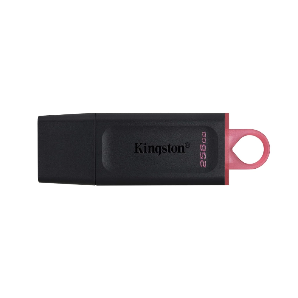 Kingston DTX 256GB USB 3.2 Pendrive view 2